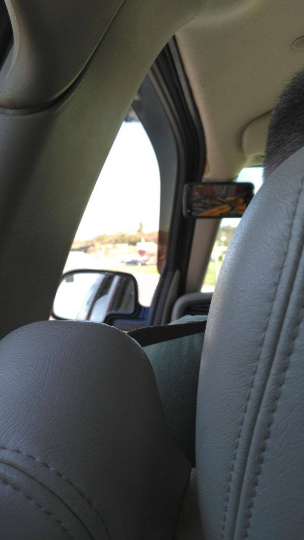 Forget About Your Driver’s License