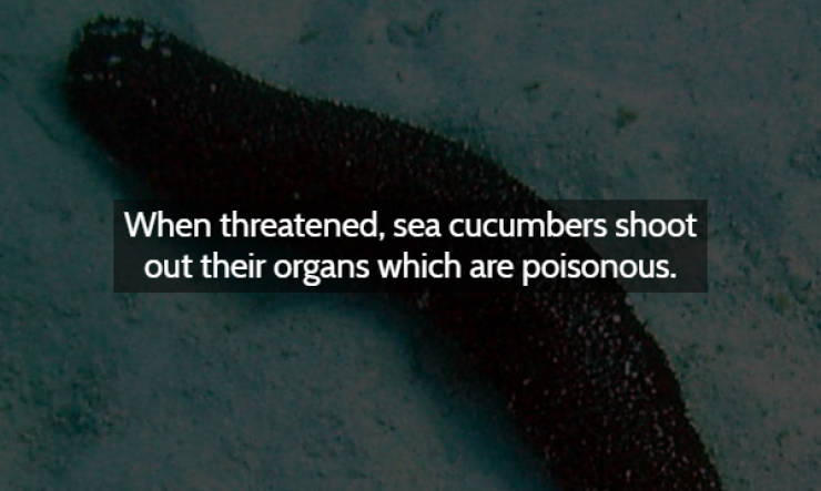 These Creepy Facts Will Make You Shiver