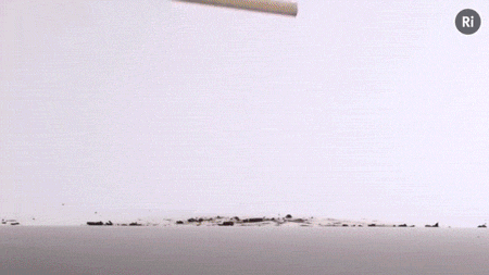These GIFs Are Soaked With Knowledge!