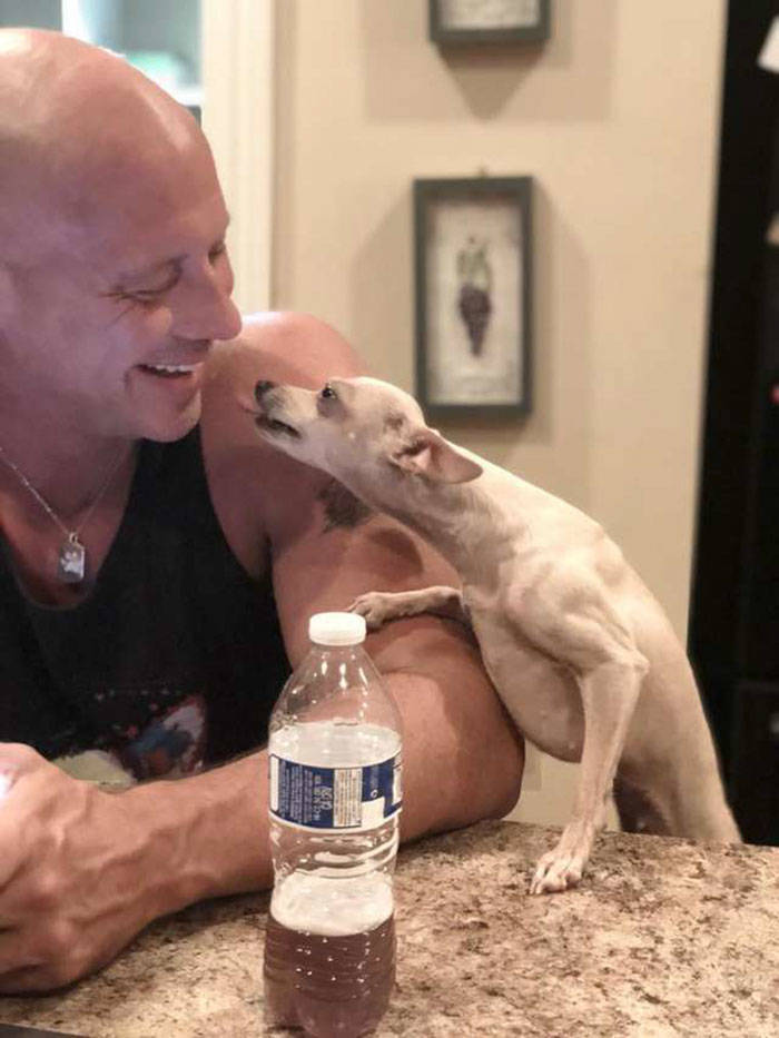 He Laughed At Small Dogs, But Then A Chihuahua Saved His Life, And Now He’s Paying Back