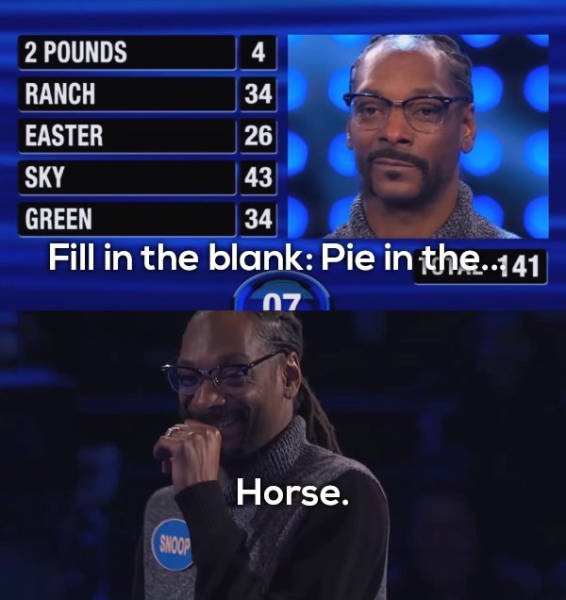 “Family Feud” Answers Are Never Not Absurd