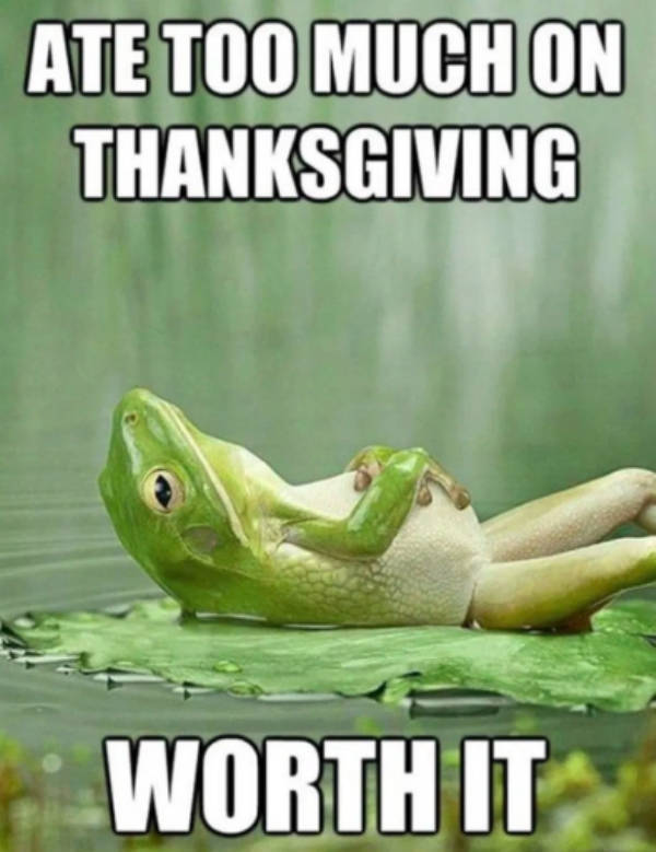 Thanks For All These Thanksgiving Memes!