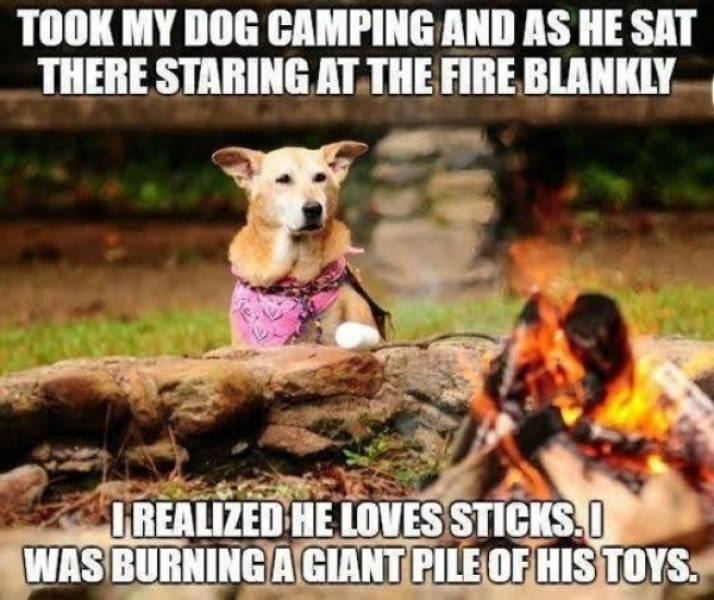 Memes, Make Yourselves Comfortable Around The Campfire