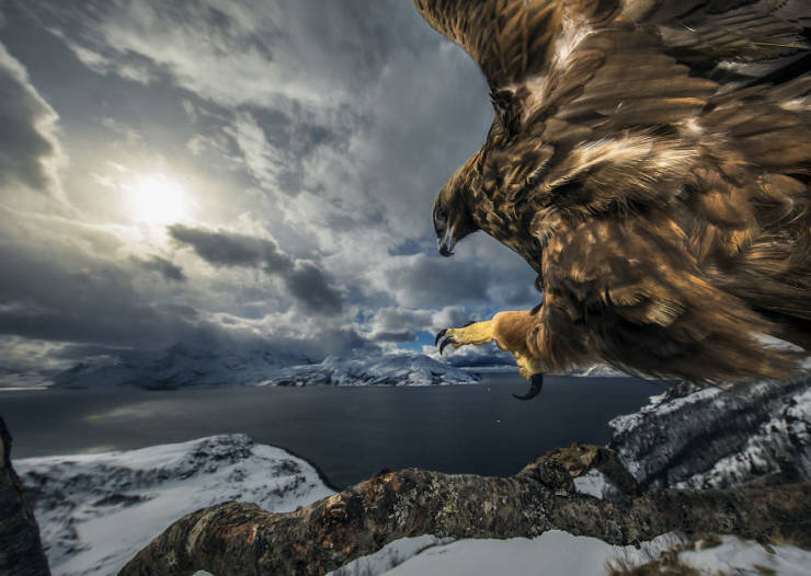 Take A Look At Winners Of The “2019 Nature Photographer Of The Year”