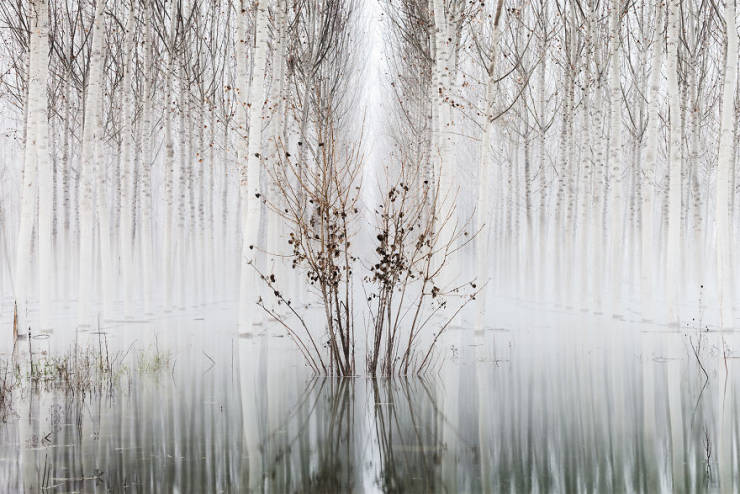 Take A Look At Winners Of The “2019 Nature Photographer Of The Year”