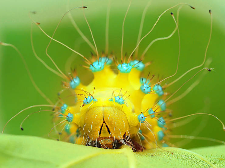 Take A Look At Winners Of The “2019 Nature Photographer Of The Year”