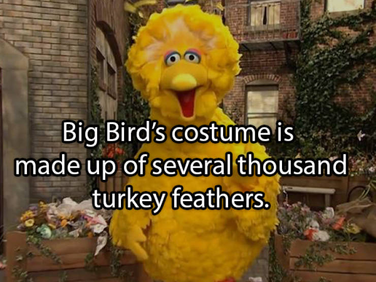 These Turkey Facts Are Not Cold At All