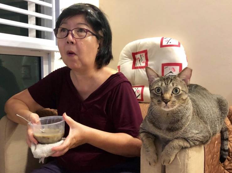 Our Pets Are Closer To Us Than We Might Think