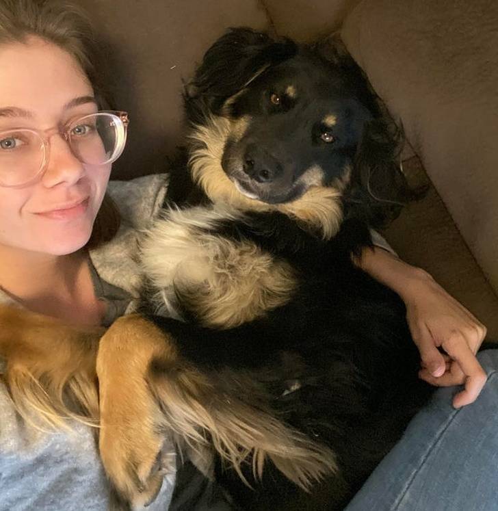 Our Pets Are Closer To Us Than We Might Think