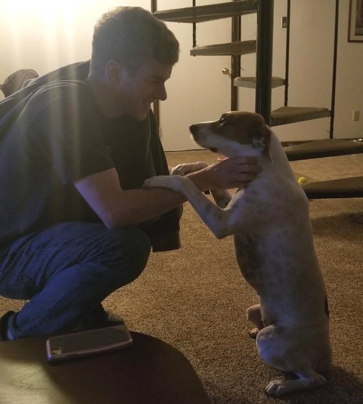 Our Pets Are Closer To Us Than We Might Think