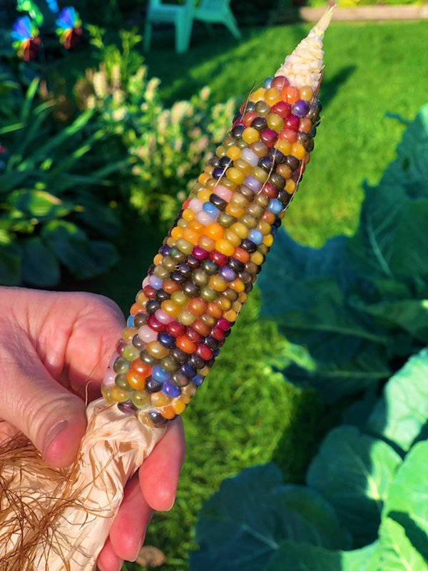 Take A Bite Out Of These Food Facts