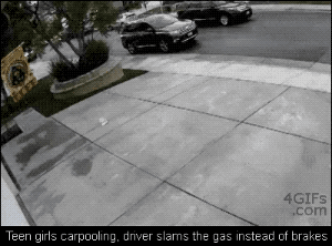 Nothing To Expect Here Nothing To Expect Here