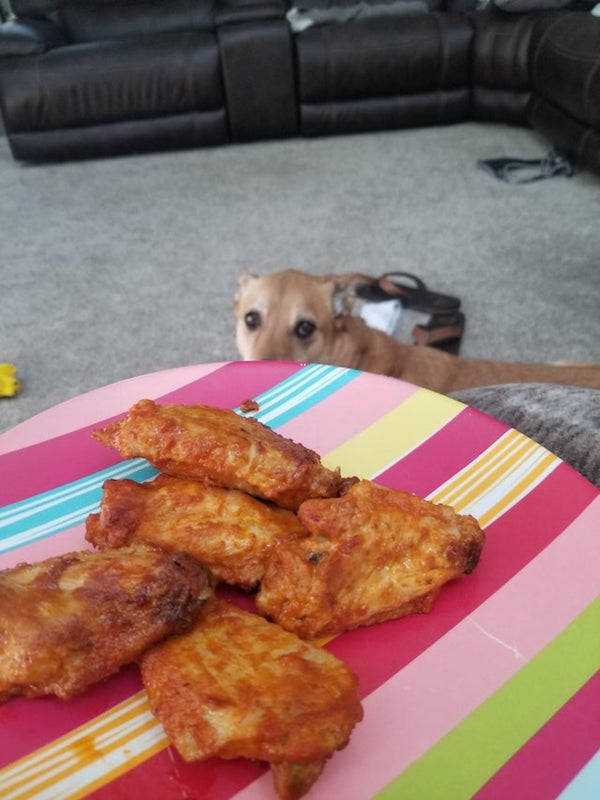 Stop Looking At My Food Like That!