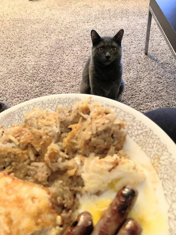 Stop Looking At My Food Like That!