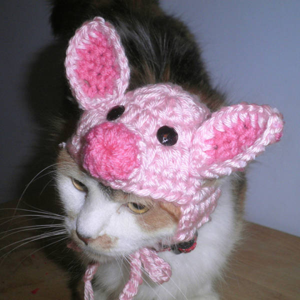 Crocheted Pet Hats Are The Best!