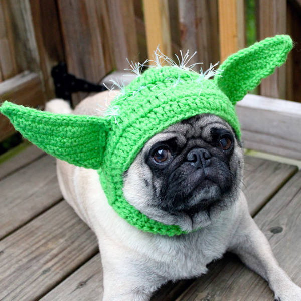 Crocheted Pet Hats Are The Best!