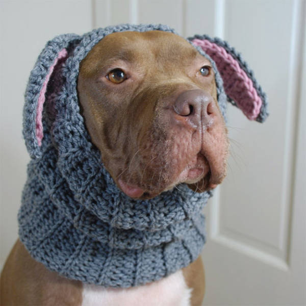 Crocheted Pet Hats Are The Best!