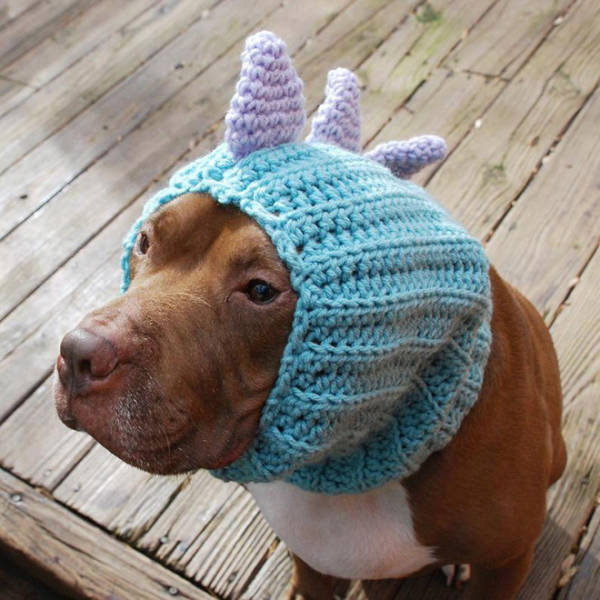 Crocheted Pet Hats Are The Best!