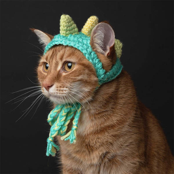 Crocheted Pet Hats Are The Best!