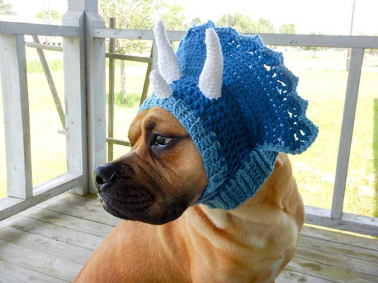 Crocheted Pet Hats Are The Best!