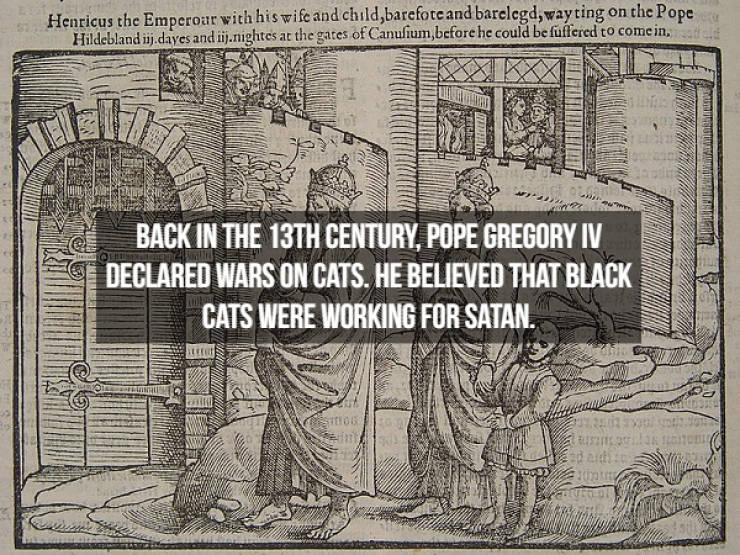Historical Facts Are Always Surprising