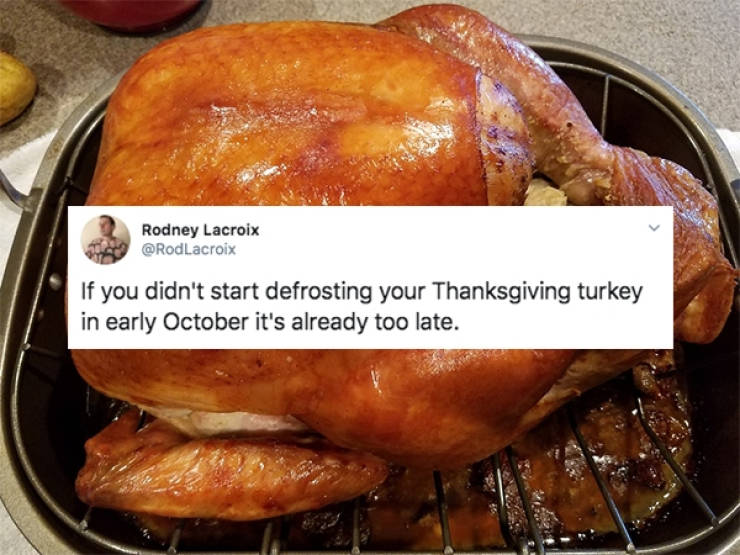 Try To Not Eat Too Much Of These Thanksgiving Tweets