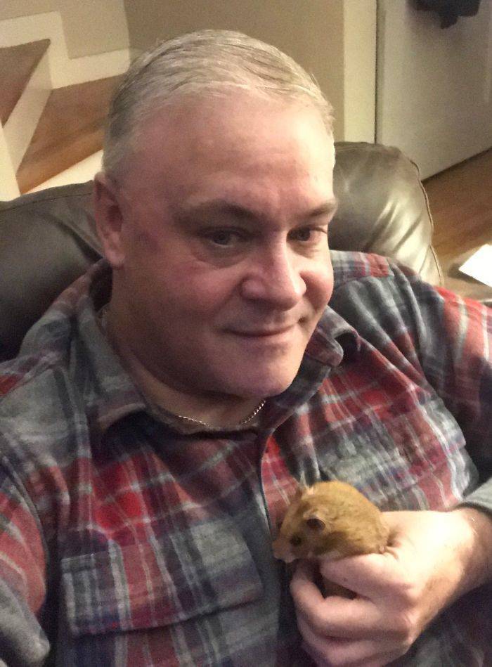 Dad Freaks Out After Losing His Daughter’s Hamster, Eventually Finds It