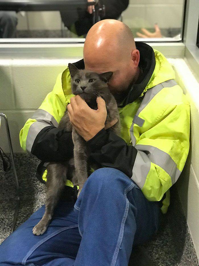 Truck Driver Finally Finds His Missing Cat After Months Of Searching