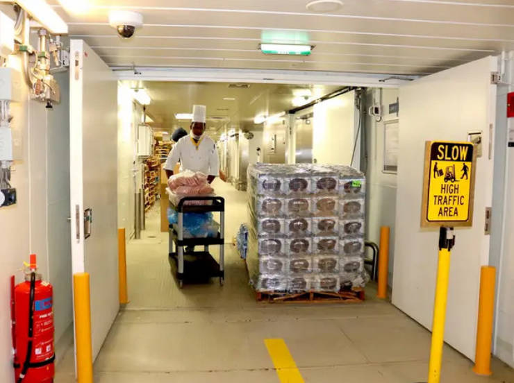 How Food Is Made On Cruise Ships