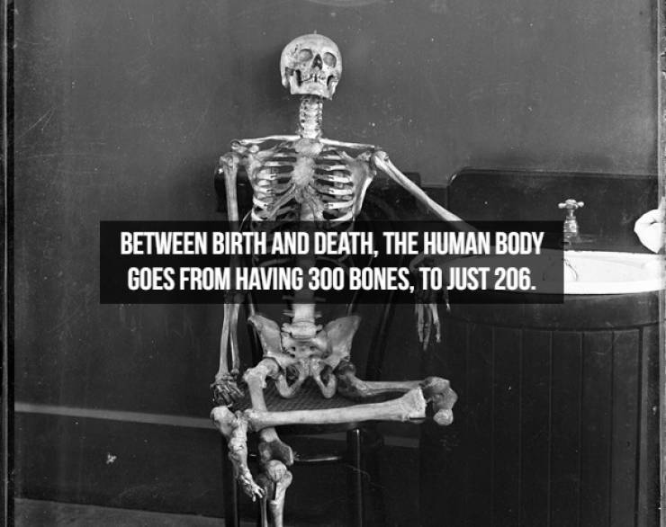 Mind-Boggling Facts About Human Bodies