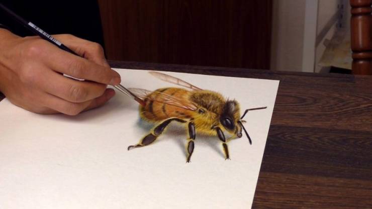 Yes, These Are Actual 3D Drawings!