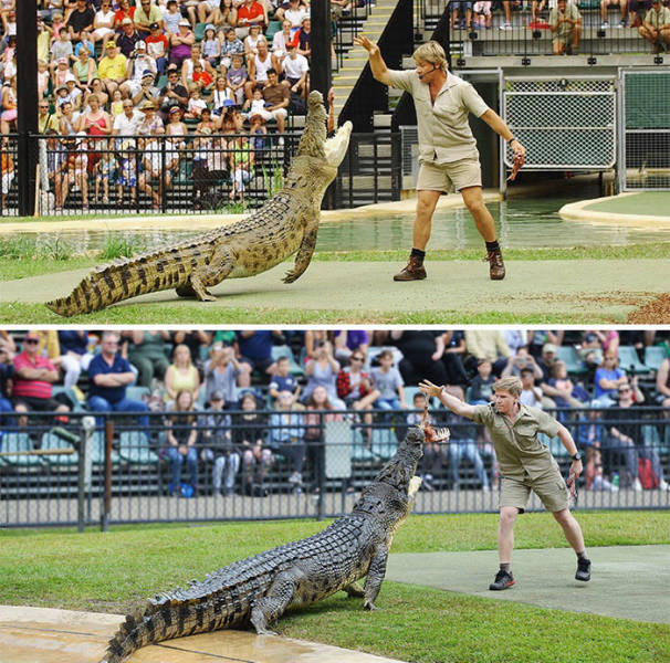 Robert Irwin Turns Sixteen, His Mom Shares Previously Unseen Photos From His Childhood With Steve Irwin Still Alive