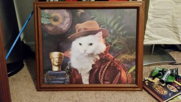 Thrift Shops Can Be Extremely Good And Extremely Bad