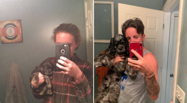 Dogs Are Adorable Both When They Are Young And When They Are Grown Up