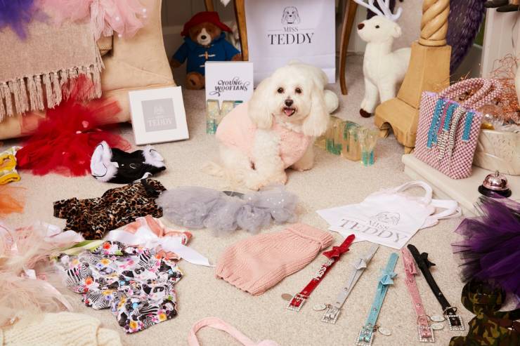 Woman Spends $3,500 On Gifts For Her Dog, And She’s Not Done For This Year Yet!