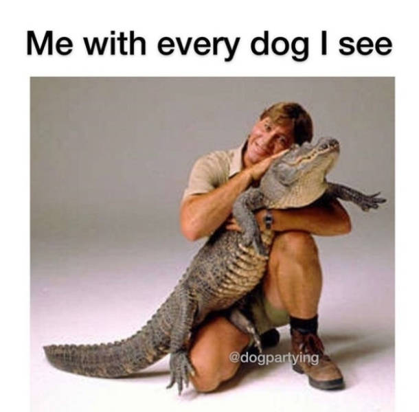 Pet Lovers Will Understand These Memes