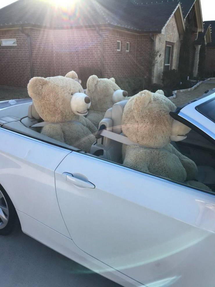 Daily Picdump