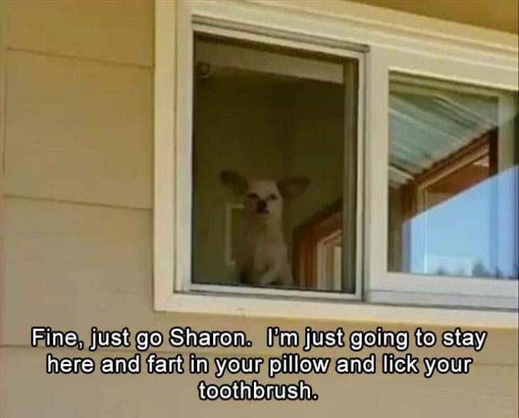 Funny Picdump