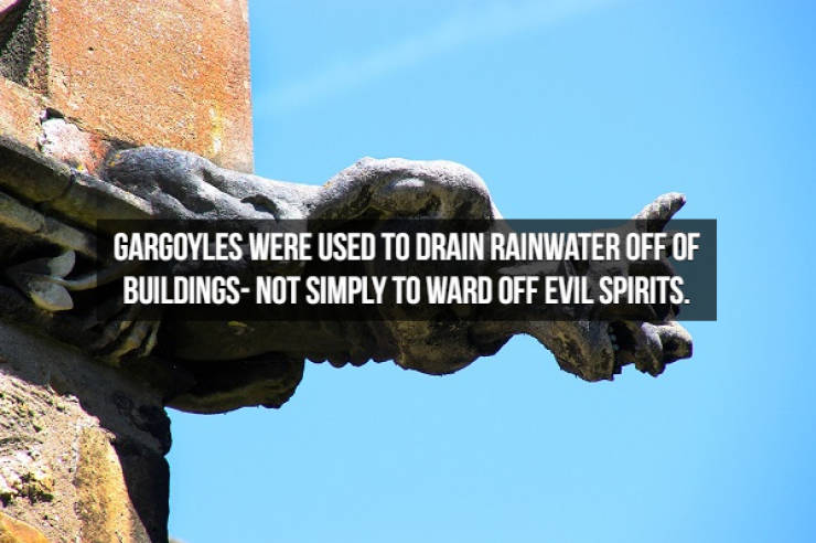 Medieval Facts Are Just Crazy…