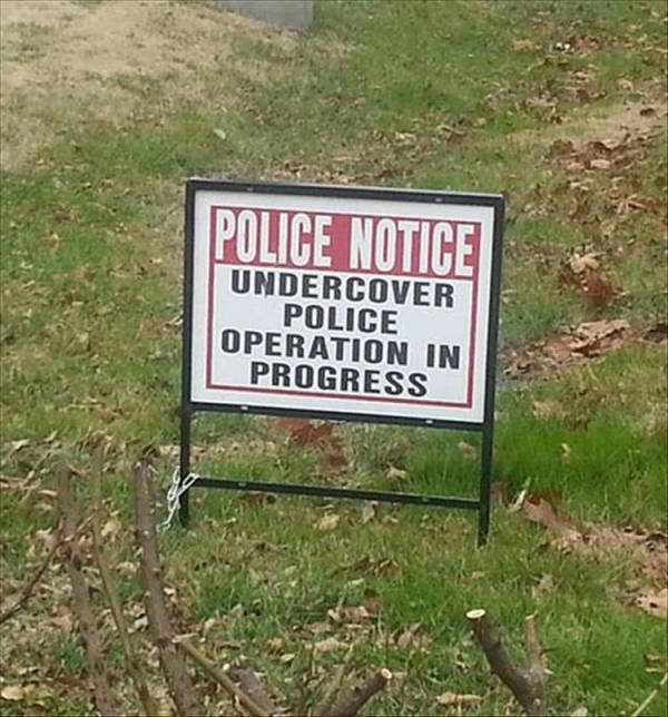 Signs That Won’t Lead You Anywhere