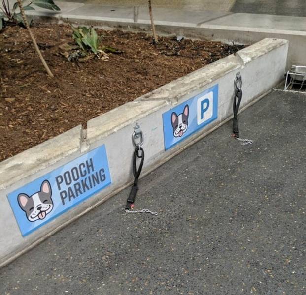 When Designers Actually Do Their Job