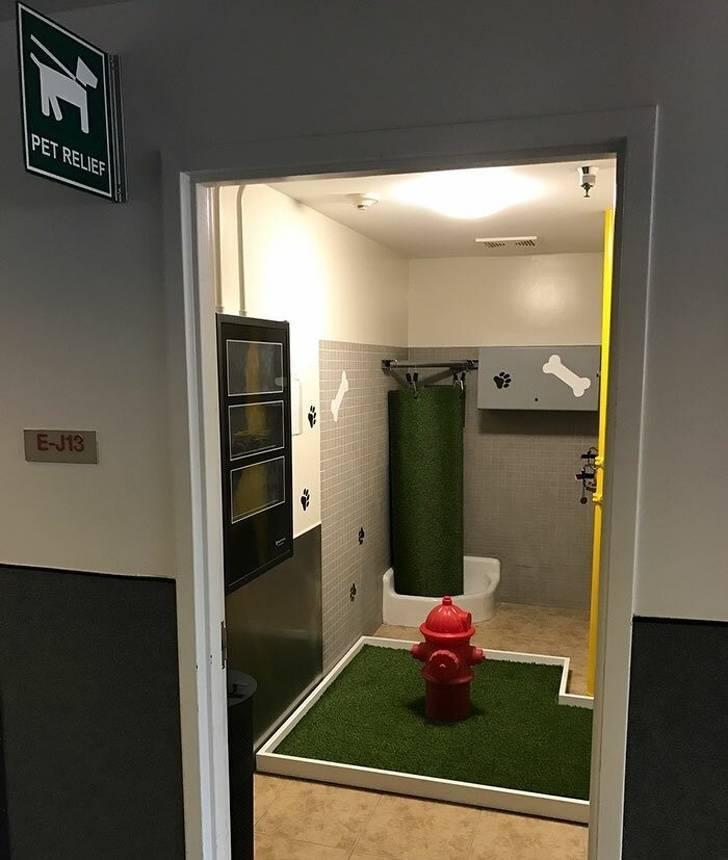 When Designers Actually Do Their Job