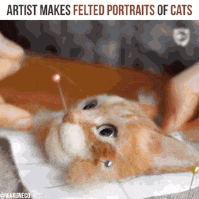 Daily Gifdump
