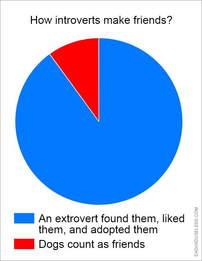 These Pie Charts Will Give You Some Really Important Knowledge