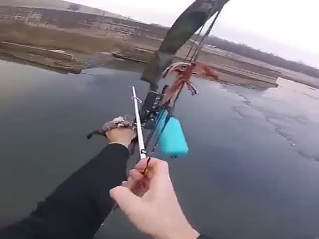 Not Your Casual Fishing…