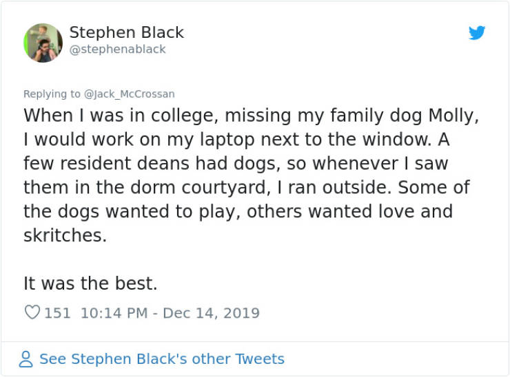 Boys Wanted To Play With Their Neighbor’s Dog And Got An Official Response