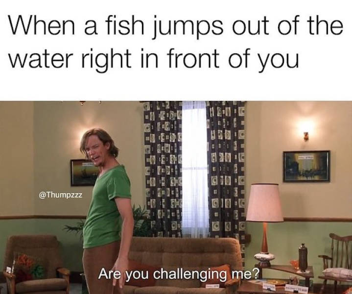 Fishing Memes Are Not A Clickbait!