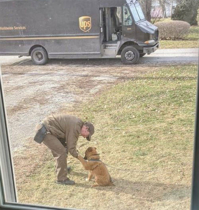 UPS Drivers Have A Special Facebook Page Where They Post Dogs They Meet While At Work