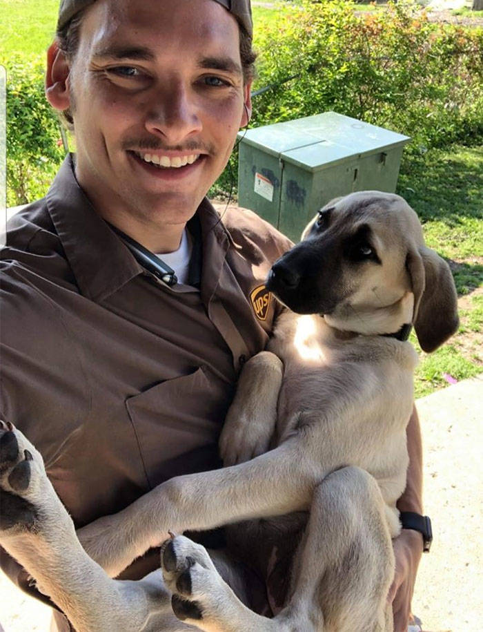 UPS Drivers Have A Special Facebook Page Where They Post Dogs They Meet While At Work