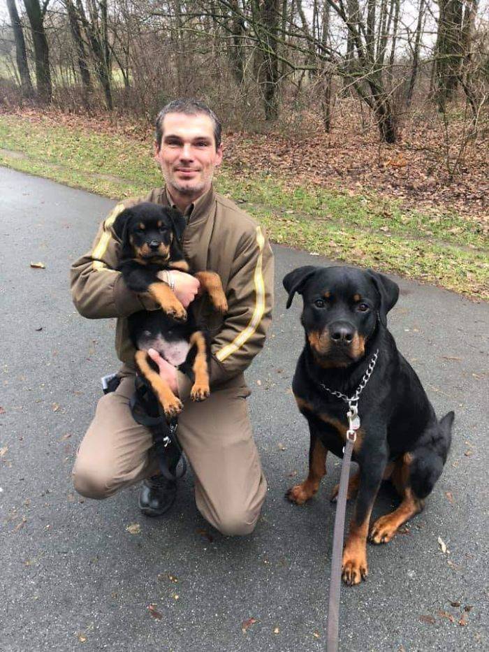 UPS Drivers Have A Special Facebook Page Where They Post Dogs They Meet While At Work